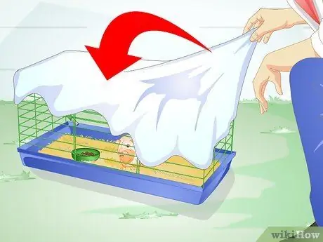 Позаботьтесь о перегретой морской свинке Шаг 9