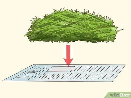 Уход за абиссинскими морскими свинками Шаг 2