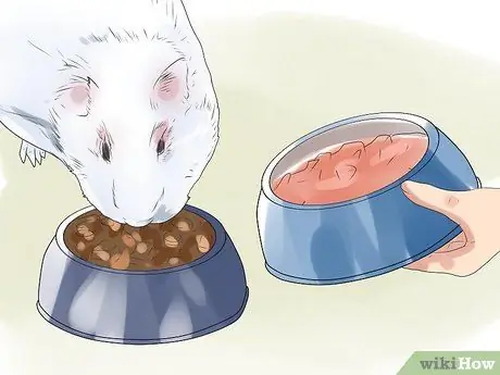 Предотвращение образования камней в мочевом пузыре у морских свинок Шаг 9