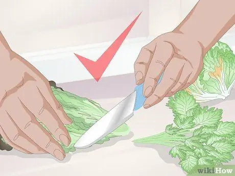 Лечить желудочно-кишечные проблемы у морских свинок Шаг 1