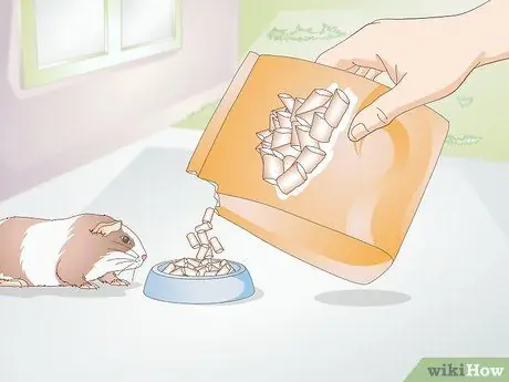 Лечить желудочно-кишечные проблемы у морских свинок Шаг 11