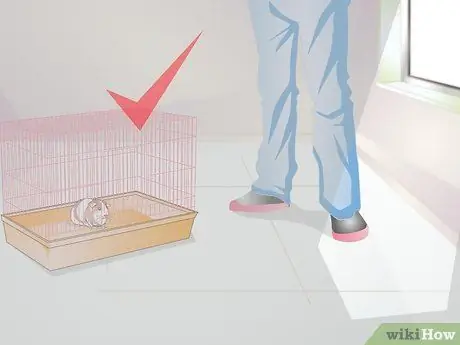 Лечить желудочно-кишечные проблемы у морских свинок Шаг 14