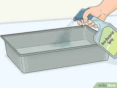 Уход за морской свинкой после стерилизации Шаг 2