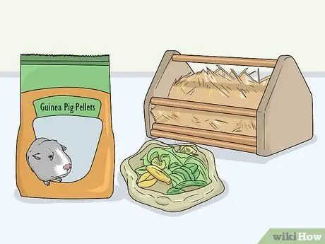 Уход за морской свинкой после стерилизации Шаг 4