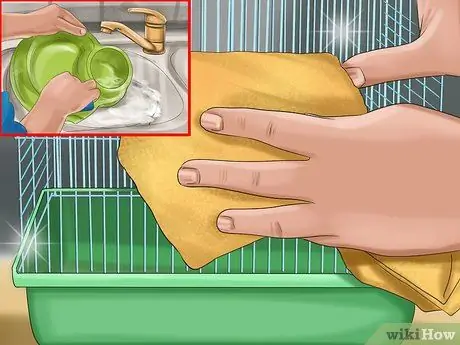 Предотвратить проблемы с кожей у морских свинок Шаг 3