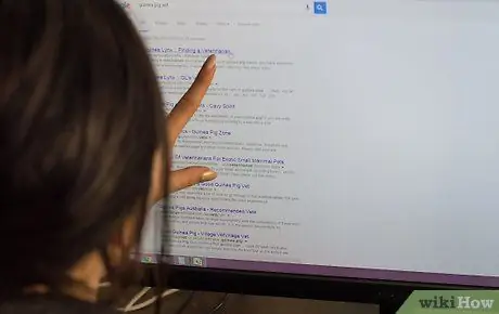 Найдите ветеринара для своей морской свинки Шаг 2