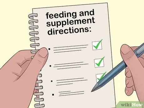 Как справиться с анорексией у морских свинок Шаг 5