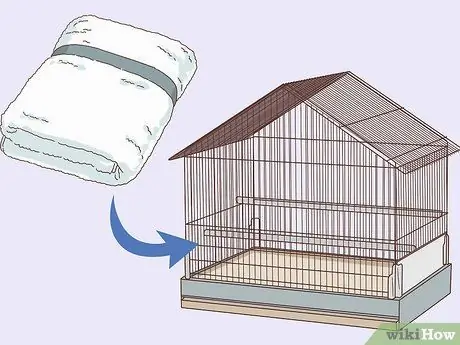 Как справиться с анорексией у морских свинок Шаг 8