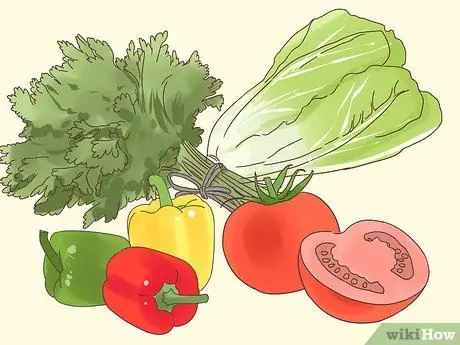 Как справиться с анорексией у морских свинок Шаг 9