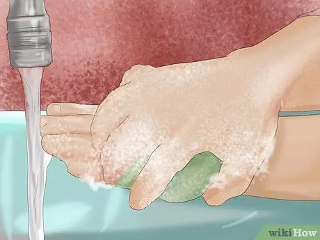 Предотвратить респираторные проблемы у морских свинок Шаг 11