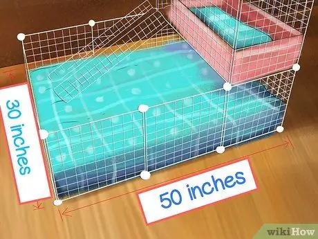 Предотвратить респираторные проблемы у морских свинок Шаг 5