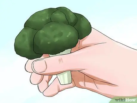 Предотвратить неправильный прикус у морских свинок Шаг 1