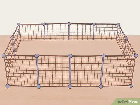 Связь со своей морской свинкой, шаг 2