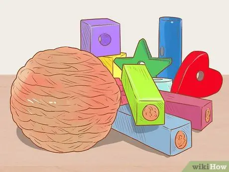 Связь со своей морской свинкой Шаг 4