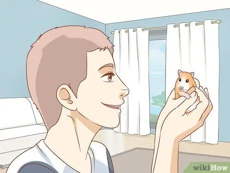 Помогите морской свинке приспособиться к вам Шаг 7