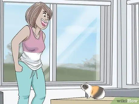 Не пугайте свою морскую свинку Шаг 1