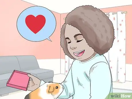 Не пугайте свою морскую свинку Шаг 15