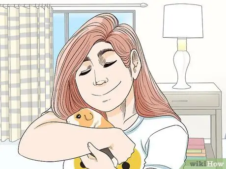 Не пугайте свою морскую свинку Шаг 17