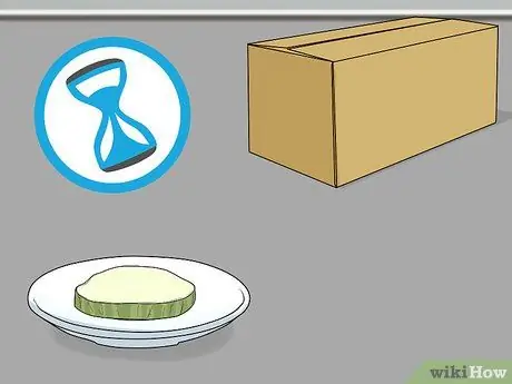 Не пугайте свою морскую свинку Шаг 7