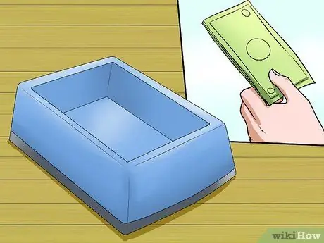 Приучение морской свинки к горшку, шаг 2