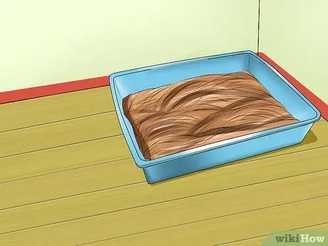 Приучение морской свинки к горшку Шаг 8