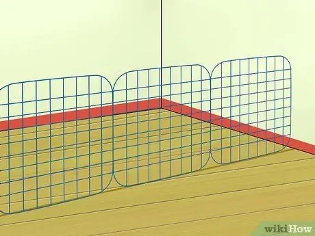 Приучение морской свинки к горшку, шаг 9