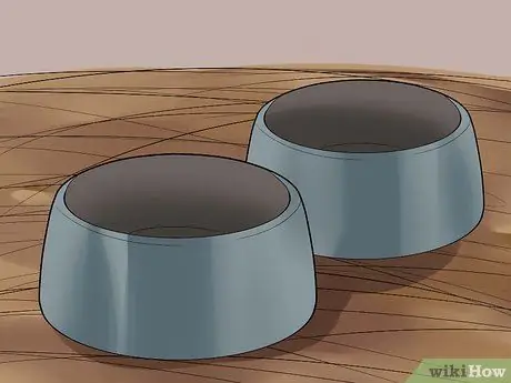 Вывести новую морскую свинку в общественную клетку Шаг 4