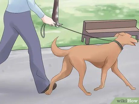 Живи дешево Шаг 28