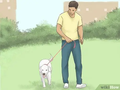 Знакомство с девушками вне школы, шаг 7