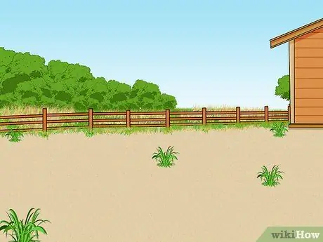 Планируйте свадьбу на ранчо в пустыне, шаг 1