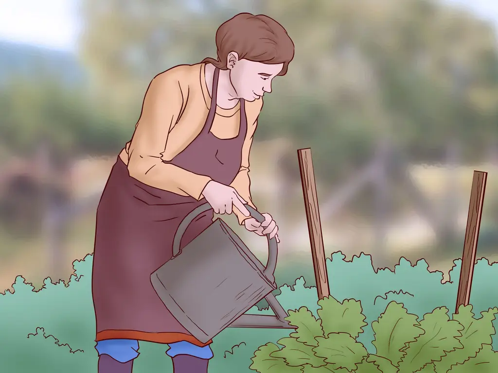 3 способа справиться с неприятностями