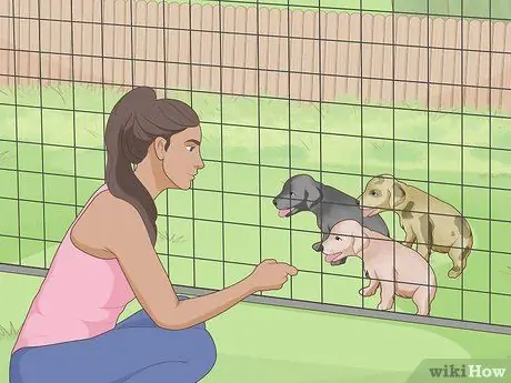 Сообщить о неэтичном заводчике собак Шаг 11