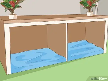 Жить в семье с несколькими собаками Шаг 12