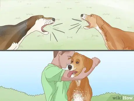 Жить в семье с несколькими собаками Шаг 7