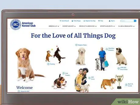 Определите породу вашей собаки Шаг 13