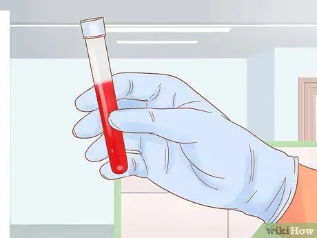 Определите породу вашей собаки, шаг 4