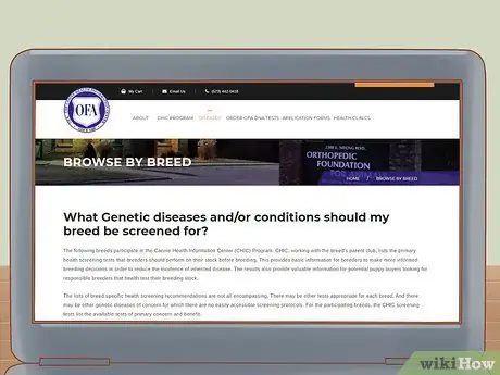 Определите породу вашей собаки, шаг 5