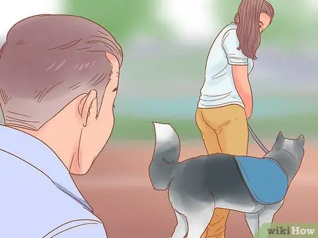 Определите породу вашей собаки Шаг 6