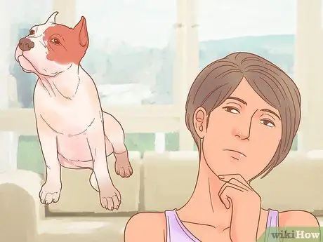 Определите породу вашей собаки, шаг 1