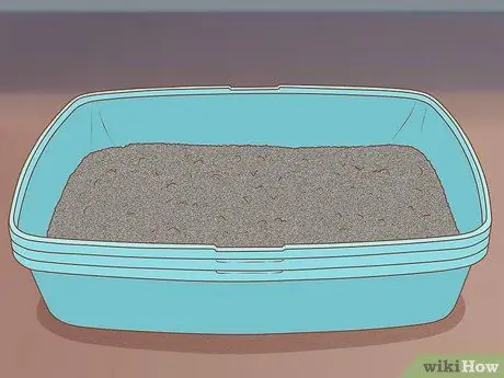 Следите за тем, чтобы помет не скапливался в лапах вашей кошечки Шаг 4