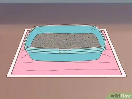 Не допускайте слипания помета в лапах вашей кошечки Шаг 5