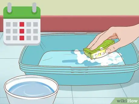 Следите за тем, чтобы помет не скапливался в лапах вашей кошечки Шаг 6