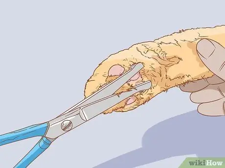 Следите за тем, чтобы помет не скапливался в лапах вашей кошечки Шаг 8