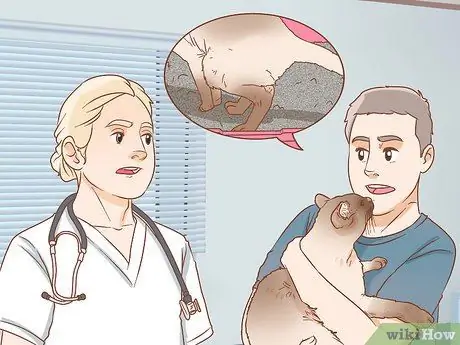 Следите за тем, чтобы помет не скапливался в лапах вашей кошечки Шаг 9