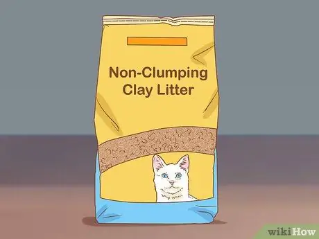 Следите за тем, чтобы помет не скапливался в лапах вашей кошечки Шаг 1