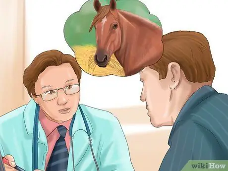 Придайте блеску своей лошадиной шубе Шаг 5