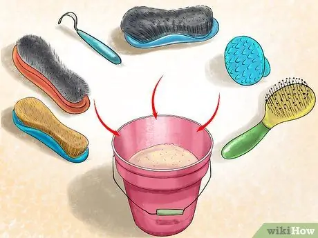 Придайте блеску своей лошадиной шубе Шаг 1