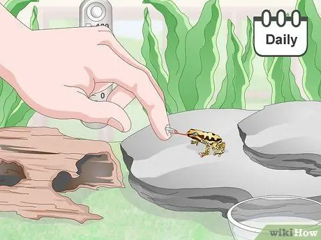 Уход за лягушками с ядовитыми дротиками Шаг 12