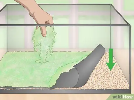 Уход за лягушками-дротиками, шаг 2