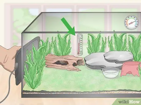 Уход за лягушками с ядовитыми дротиками Шаг 6